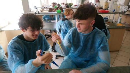 Zajęcia laboratoryjne w Instytucie Biologii Eksperymentalnej 